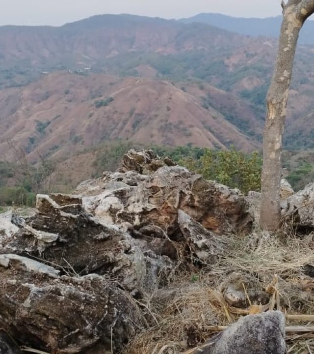 WhatsApp Image 2024-06-17 at 12.54.03 PM (2)